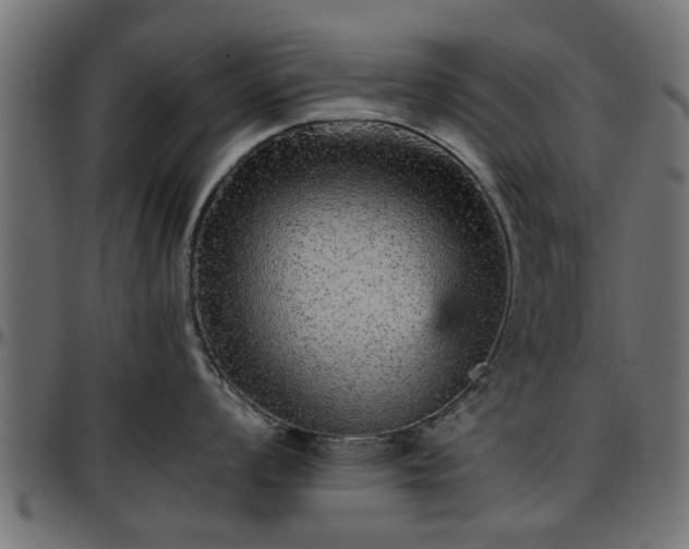 X0000096731008200802121310