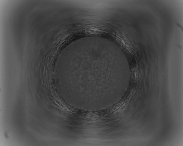 X0000096731009200802121309