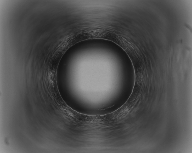 X0000096731010200802121309