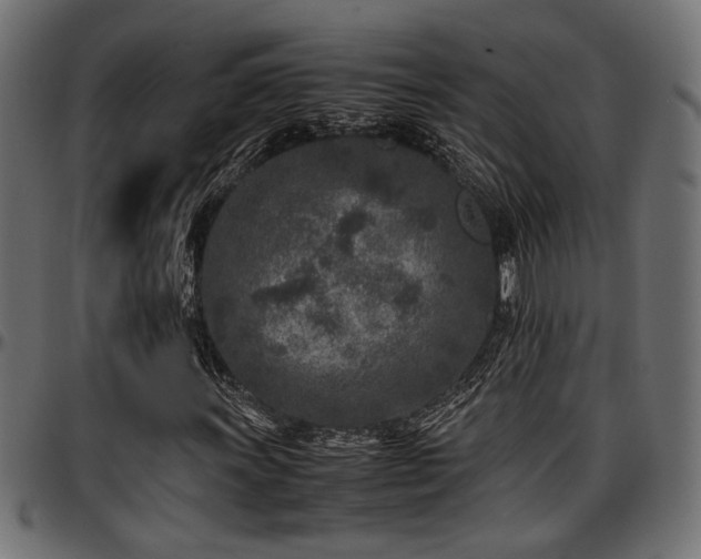 X0000096731011200802121309