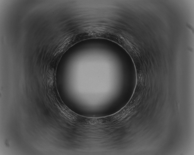 X0000096731012200802121309