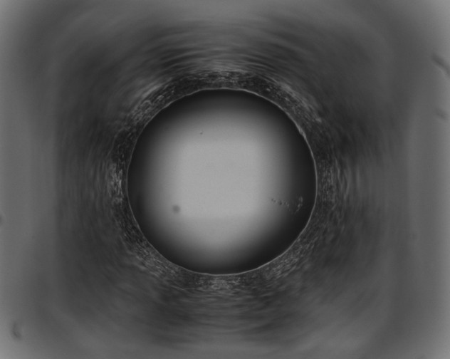X0000096731013200802121309