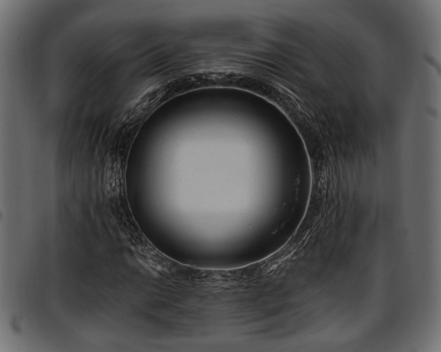 X0000096731014200802121309