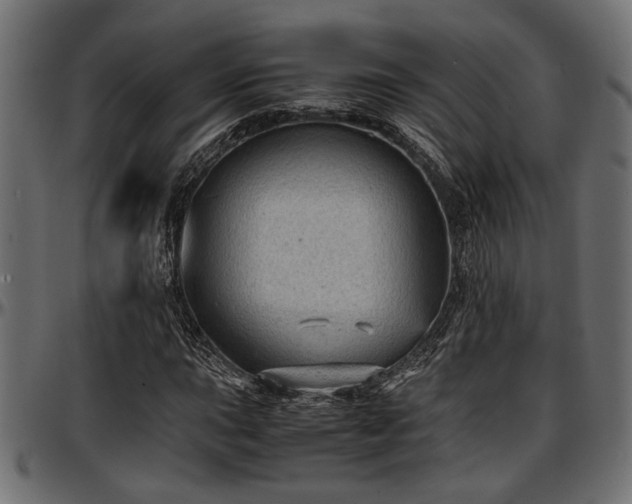 X0000096731015200802121309
