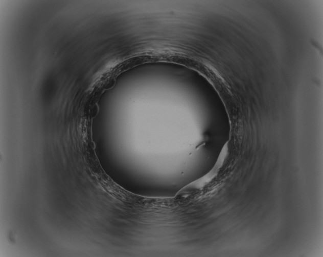 X0000096731016200802121309