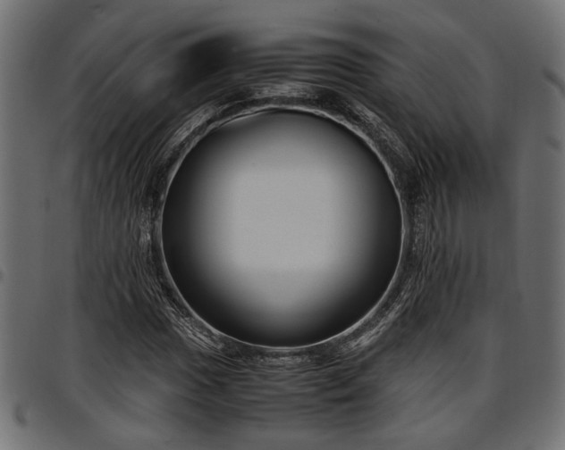 X0000096731017200802121309