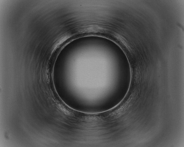 X0000096731018200802121309