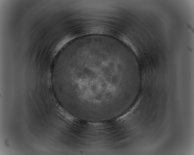 X0000096731019200802121309