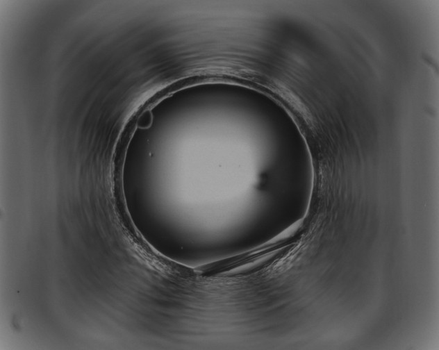 X0000096731020200802121309