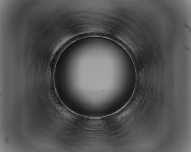 X0000096731021200802121309