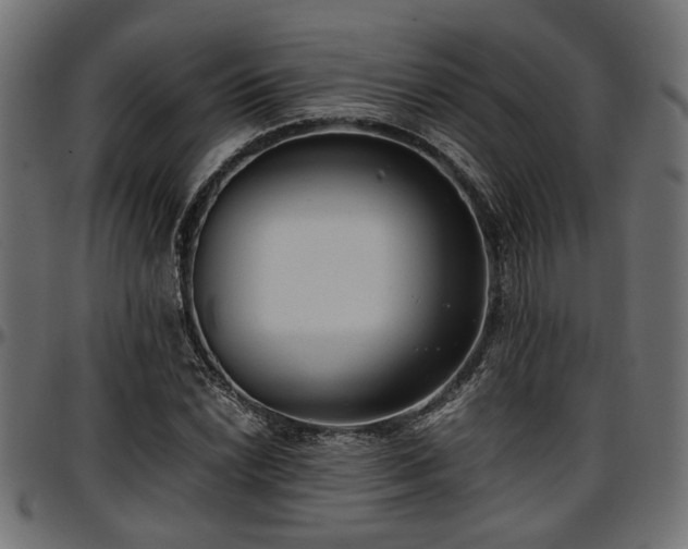 X0000096731022200802121309