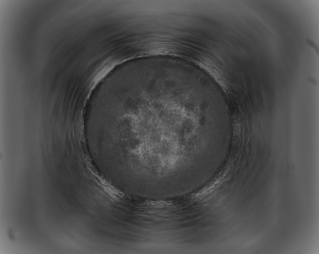 X0000096731023200802121309