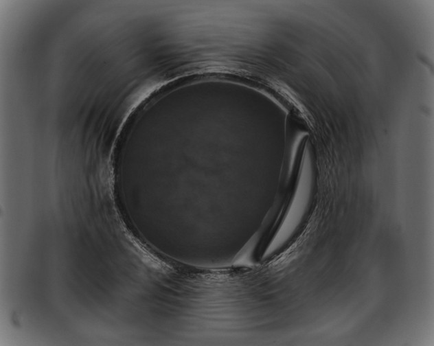 X0000096731024200802121309
