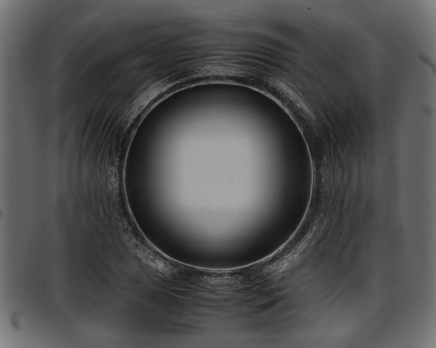 X0000096731025200802121309