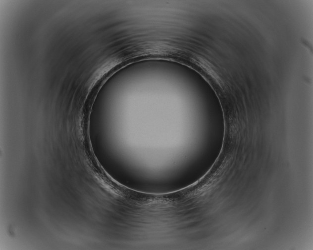X0000096731026200802121309