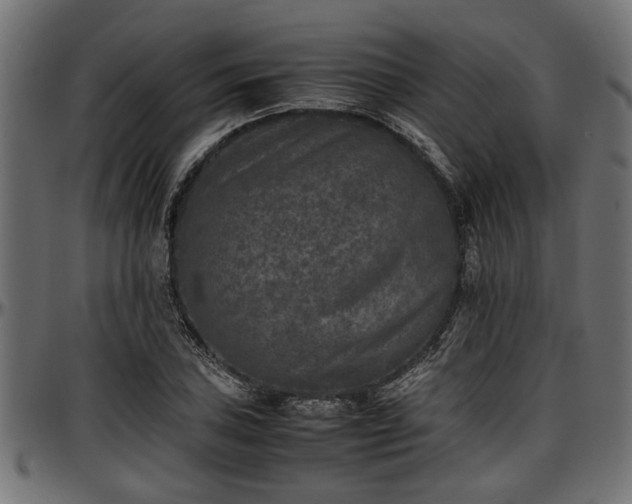 X0000096731027200802121309