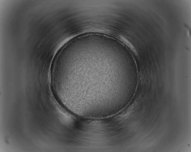X0000096731028200802121309