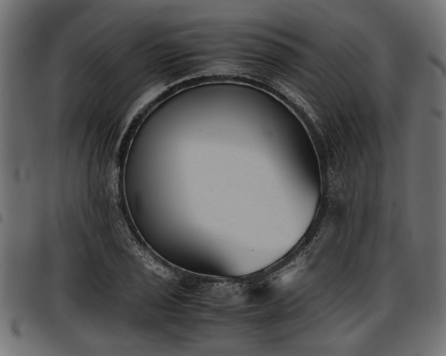 X0000096731029200802121309