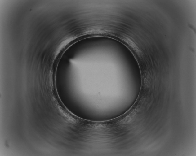 X0000096731030200802121309