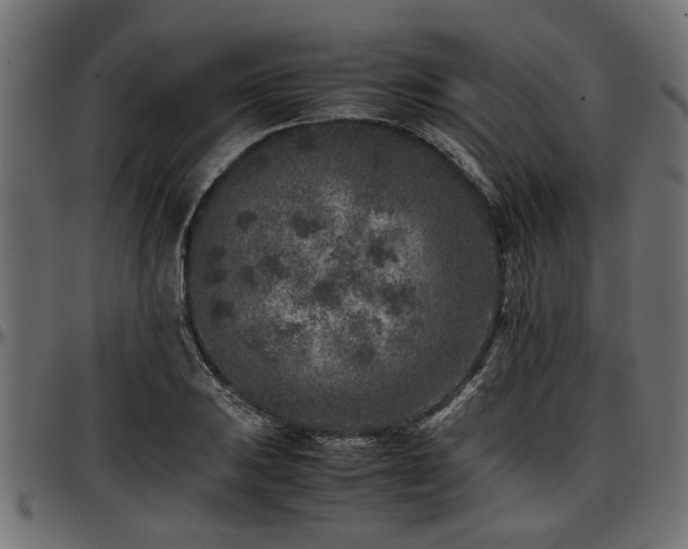 X0000096731031200802121309