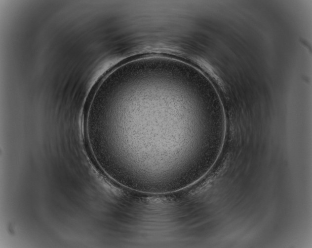 X0000096731032200802121309