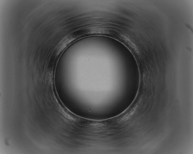 X0000096731033200802121309