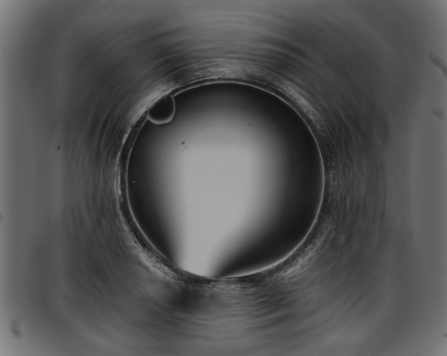 X0000096731034200802121309