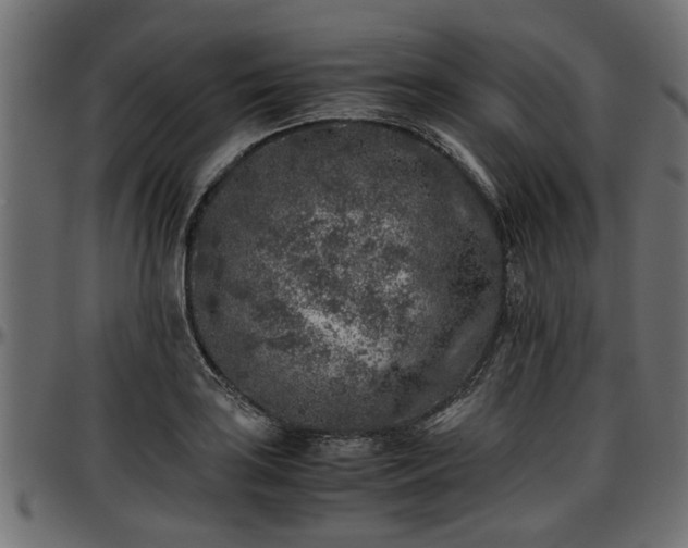 X0000096731035200802121309