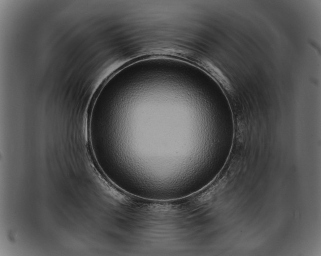 X0000096731036200802121309