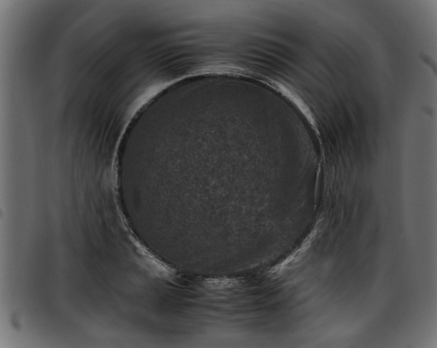 X0000096731037200802121310