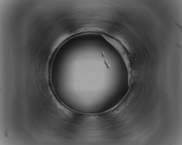 X0000096731038200802121310