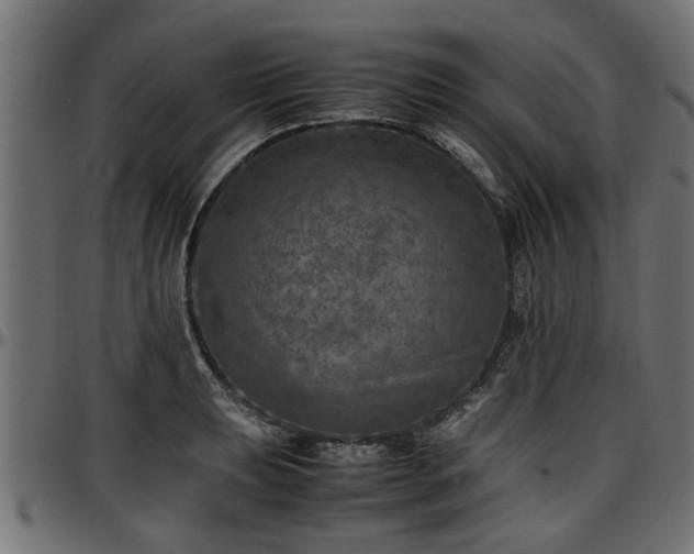 X0000096731039200802121310