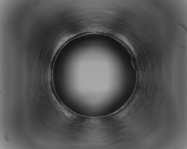 X0000096731040200802121310