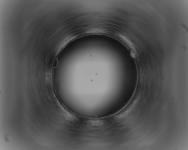 X0000096731041200802121310