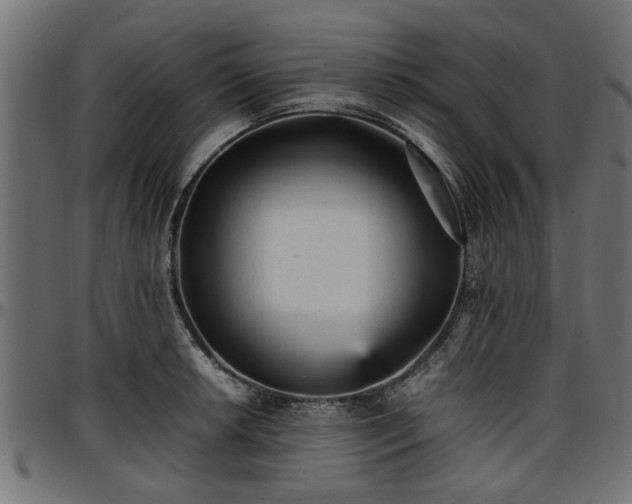 X0000096731042200802121310