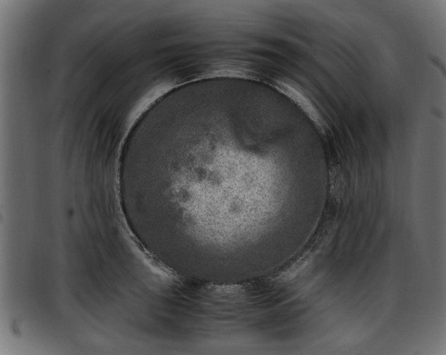 X0000096731043200802121310