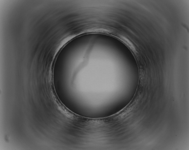 X0000096731044200802121310