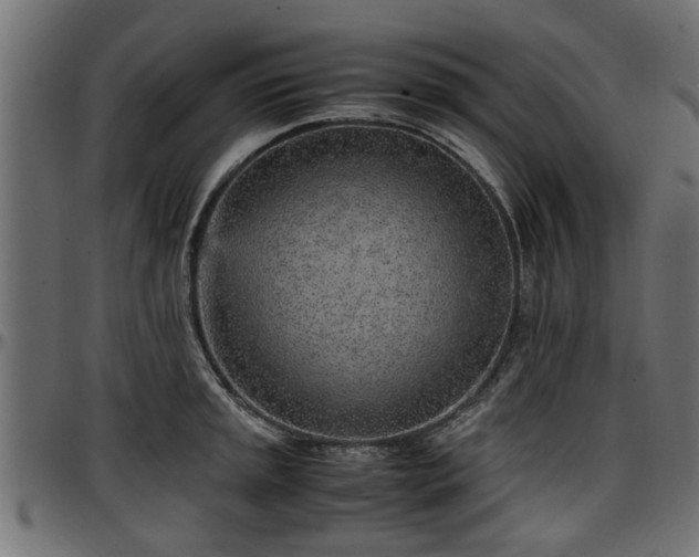 X0000096731045200802121310
