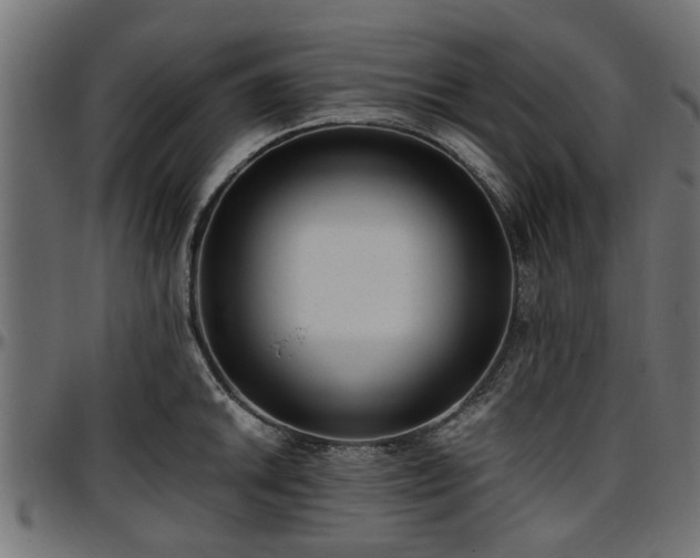 X0000096731046200802121310
