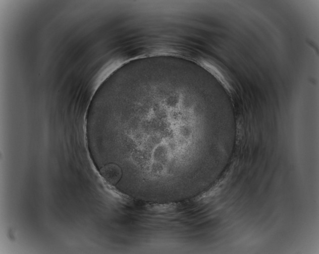X0000096731047200802121310