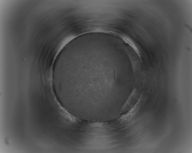 X0000096731048200802121310