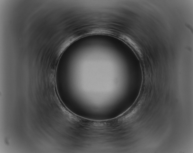 X0000096731049200802121310