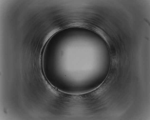 X0000096731050200802121310