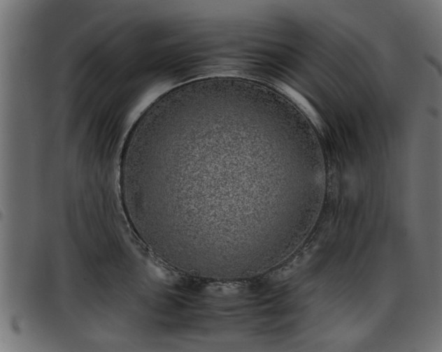 X0000096731051200802121310