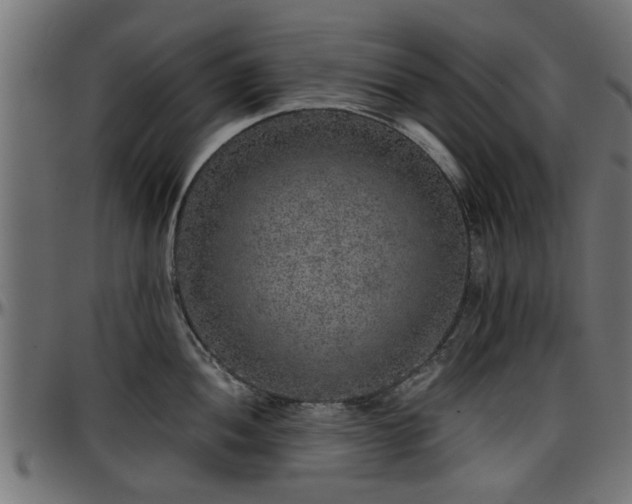 X0000096731052200802121310