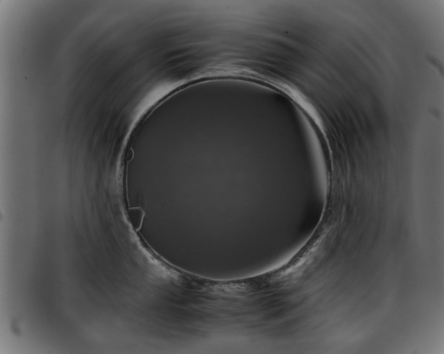 X0000096731053200802121310
