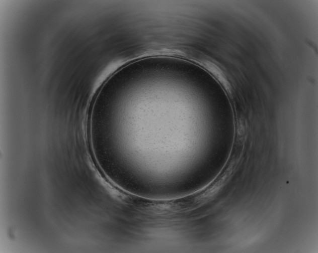 X0000096731054200802121310