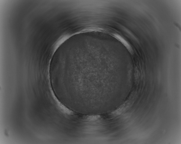 X0000096731055200802121310