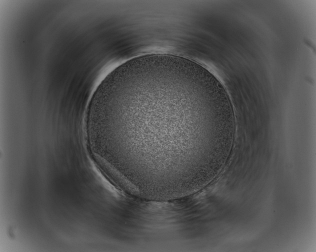 X0000096731056200802121310