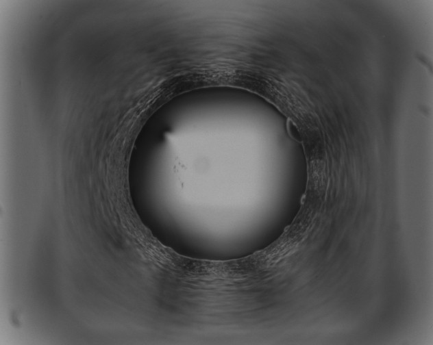 X0000096731057200802121309